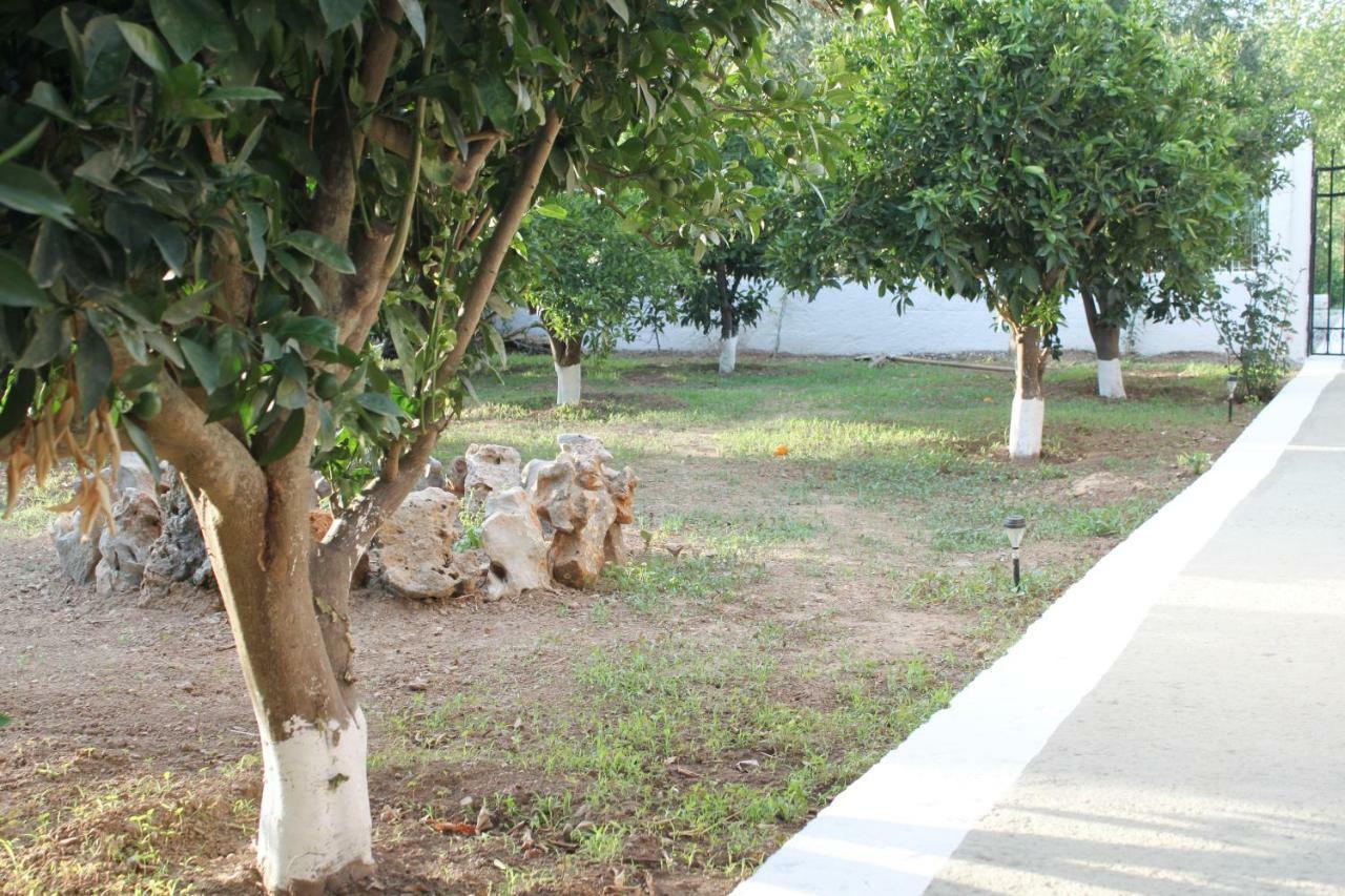 Villa Elias Maro House Avdou Esterno foto